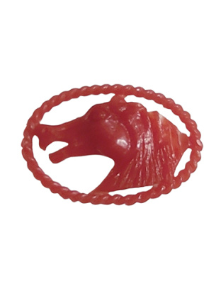 Cabeça de Cavalo