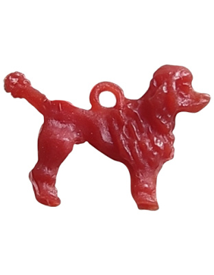 Cão