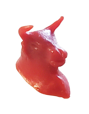 Cabeça de Touro
