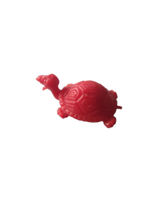 Tartaruga Pequena