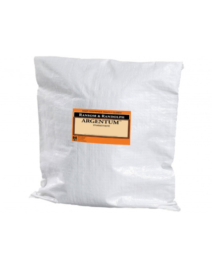 Gesso Ransom ARGENTUM 22,7 Kg