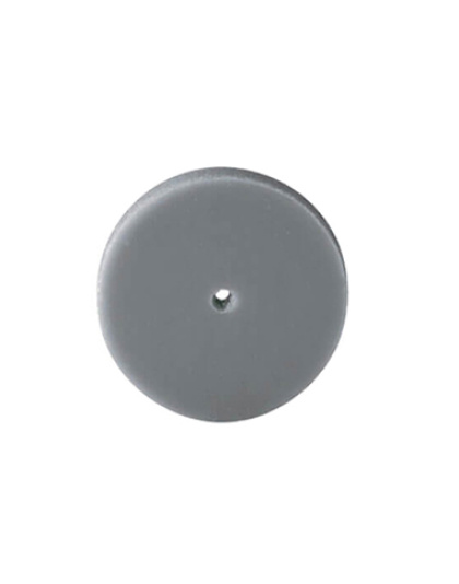 Gray Pumice Stone Disc
