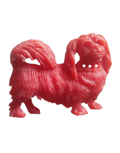 Cão