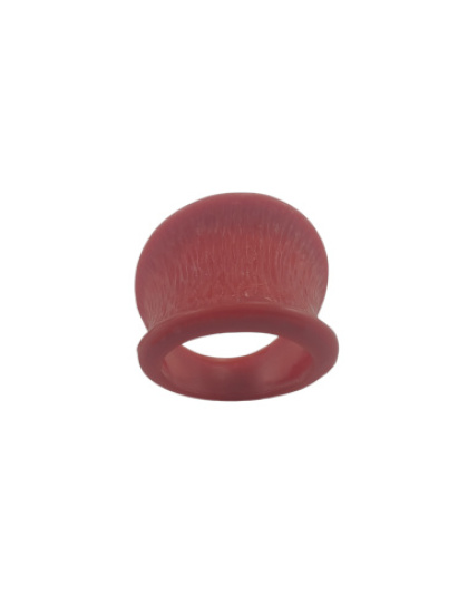 Anel Côncavo Riscado