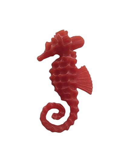 Seahorse