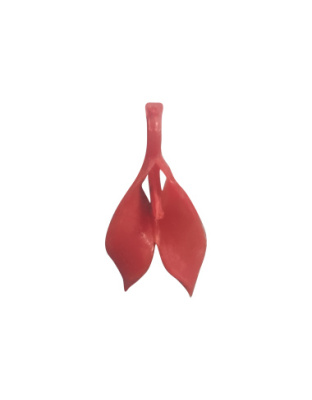 Folhas com Pérola